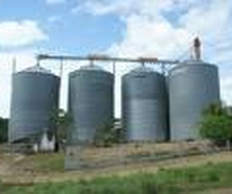 Trabalhadores do arroz conquistam reajuste de 7,3%