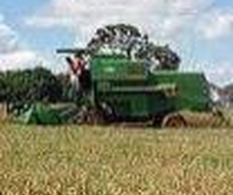 Sem negociação, trabalhadores do arroz podem parar 
